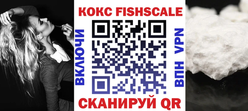 Cocaine FishScale  Купить  Камышлов 