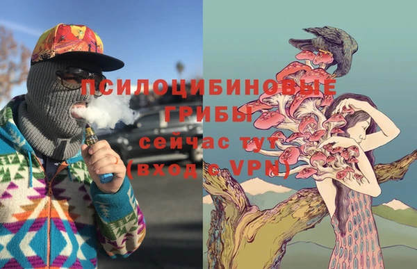МДПВ Каменногорск