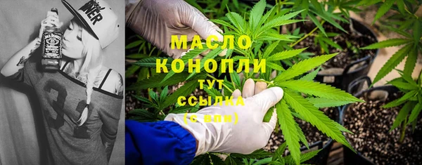 МДПВ Каменногорск