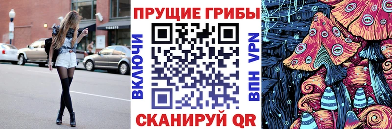 Псилоцибиновые грибы Cubensis  Купить  Камышлов 