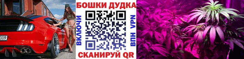 Купить закладки  Камышлов  Бошки Шишки сатива 